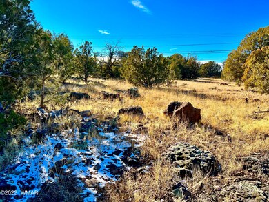 8789 Bruce Cir, Show Low, AZ 85901 - photo 3