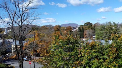 views of W&L and House Mtn