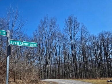 Lot 13 Cherry Grove Rd, Slaty Fork, WV 26291 - photo 4