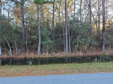 0 Weisinger unit 21165833, Magnolia, TX 77359 - photo 5