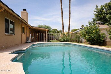 Big pool