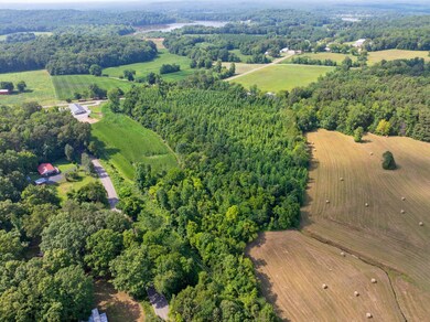 0 Highway 100 unit RTC2946938, Decaturville, TN 38329 - photo 4