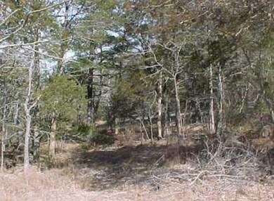 0 Menke Lanke Dr unit 1012498, Rogers, AR 72756 - photo 3