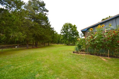 SIDE VIEW WITH SUNFLOWERS