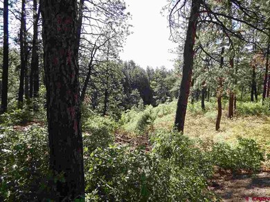 0 Tristan Trail unit 746328, Durango, CO 81301 - photo 7