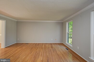 6245 Martin Rd, Columbia, MD 21044 - photo 5