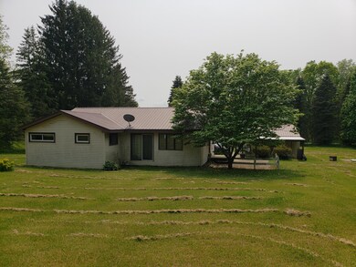 356 Homer St, Hubbardston, MI 48845 - photo 5