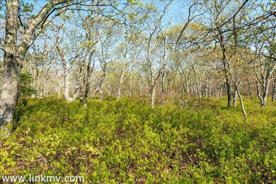 10 Quampache Lane (Lot 2 - Portion of Lot 3b), Edgartown, MA 02539 - photo 5