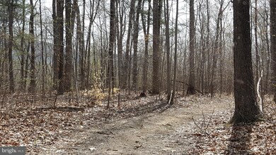 0 Rainbow Way unit 1001928590, Front Royal, VA 22630 - photo 2