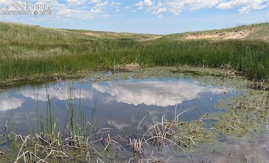 Several seasonal ponds near the back of the property.