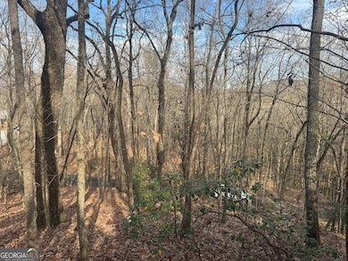 0 Geneva Place unit 10648186, Sautee Nacoochee, GA 30571 - photo 3