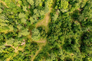 DJI_0573