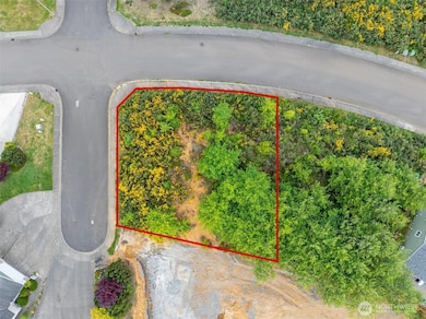 0 Sanderling (Lot 1) Dr unit NWM2326995, Hoquiam, WA 98550 - photo 5