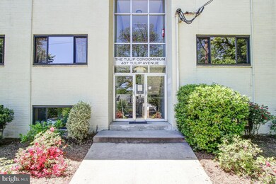407 Tulip Ave unit 102, Takoma Park, MD 20912 - photo 3