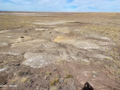 0 N Porter Rd unit 238403, Joseph City, AZ 86032 - photo 6