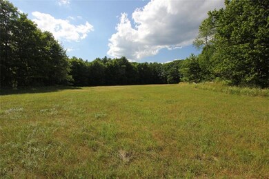 Pasture included with the property