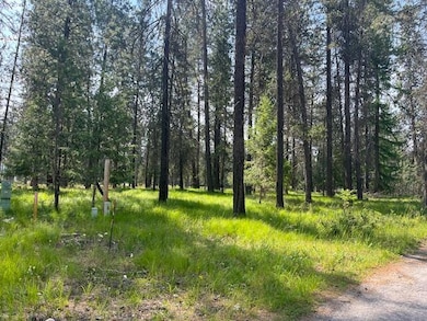 203 Eagle Dr, Chewelah, WA 99109 - photo 2