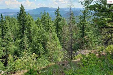 NNA Redtail Hawk Rd, Sandpoint, ID 83864 - photo 5