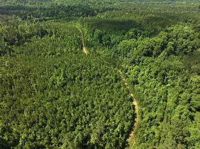 0 Canyon Rd, Lumpkin, GA 31815 - photo 5