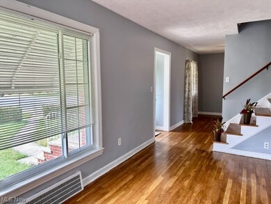 Entrance foyer with dark hardwood flooring