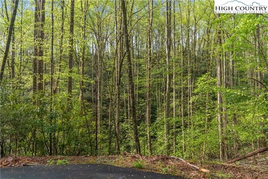 TBD Springhollow Rd, Banner Elk, NC 28604 - photo 4