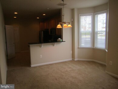 22739 Settlers Trail Terrace unit 22739, Ashburn, VA 20148 - photo 5