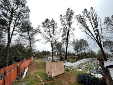 Upper Portion of Garden Space