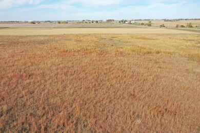 DJI_0194