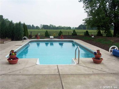 Backyard. In ground pool & patio