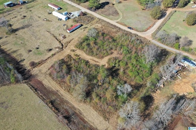 0 Justin Ln, Lincoln, AL 35096 - photo 2