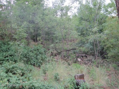 Heavily treed, green and lush!