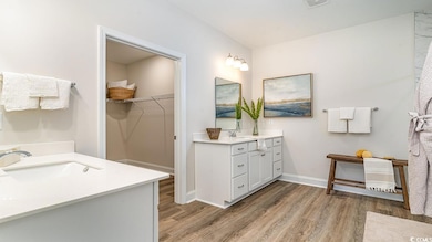 Bathroom with wood-type flooring and vanity