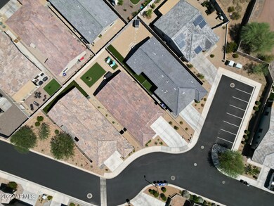 Oversized Lot!