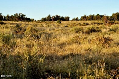 Cupples trail 2