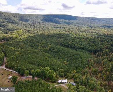 138 Mchenry Ln, Berkeley Springs, WV 25411 - photo 5
