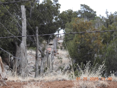 Tract A-1 Cr B29a, Villanueva, NM 87583 - photo 3