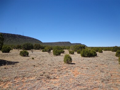 Tract 1B Camino Del Sol, Bernal, NM 87569 - photo 4