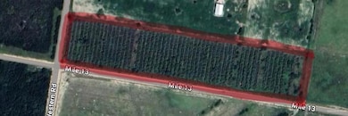 00 N Western Rd, Edinburg, TX 78541 - photo 2