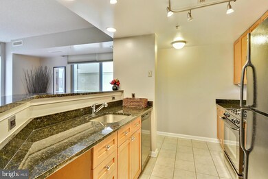 The Crescent unit 210, Silver Spring, MD 20910 - photo 6
