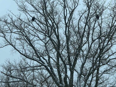 481-489 Garfield Rd, Stephentown, NY 12062 - photo 7