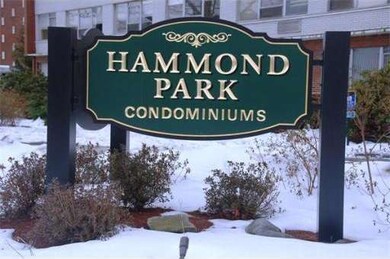 Hammond Park Condominiums unit 207, Chestnut Hill, MA 02467 - photo 2