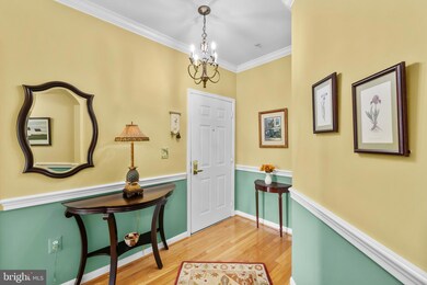 5108 Donovan Dr unit 303, Alexandria, VA 22304 - photo 7