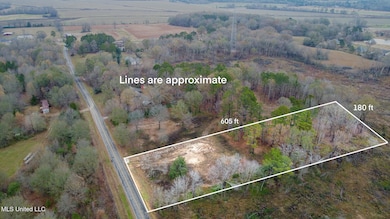 3770 Malone Lot 2 Rd, Hernando, MS 38632 - photo 7