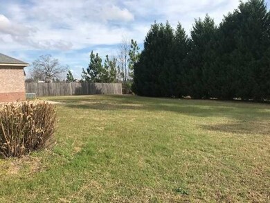 Beautiful Backyard