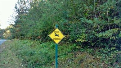 Horses traverse in this community - very peaceful,