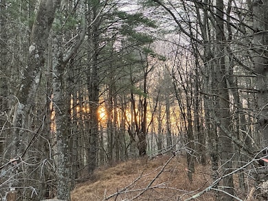 TBD River Beach Ln, Galax, VA 24333 - photo 6