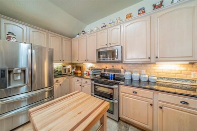 101 Shady Valley Cir, Weatherford, TX 76086 - photo 5