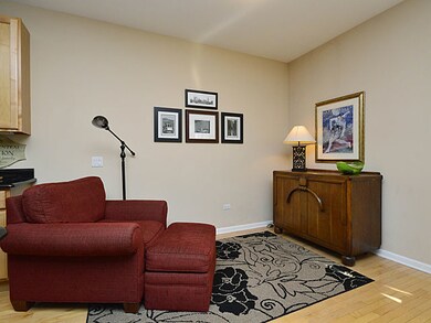 4269 Linden Tree Ln unit 4269, Glenview, IL 60026 - photo 7