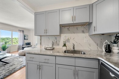 Sargent Estates unit 609, Brookline, MA 02445 - photo 6