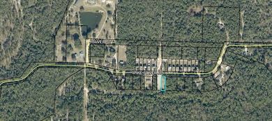 Lot 1 Blk Lake Silver Rd, Crestview, FL 32536 - photo 2